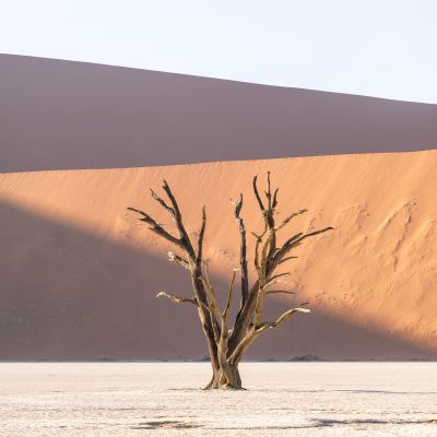 Deadvlei, Namibia