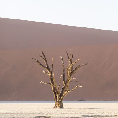 Deadvlei, Namibia