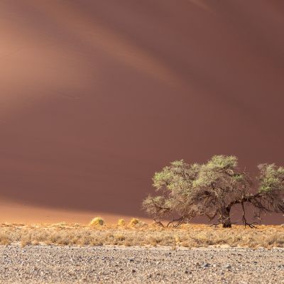 Sossusvlei, Namibia