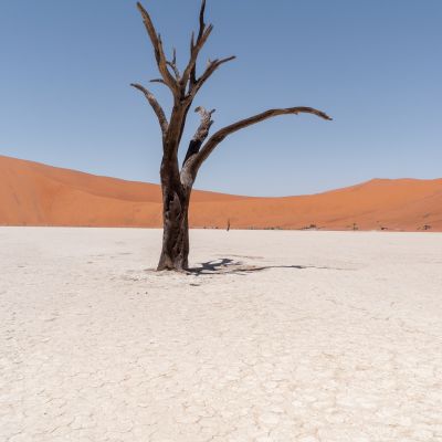 Deadvlei, Namibia
