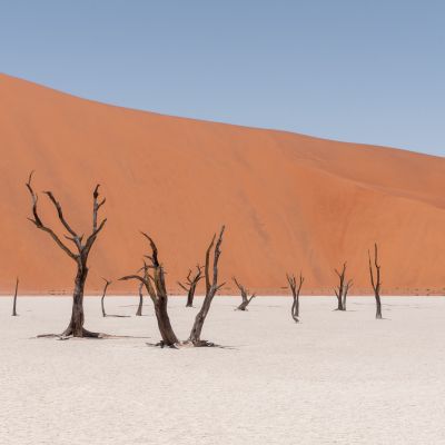 Deadvlei, Namibia