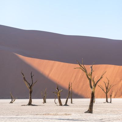 Deadvlei, Namibia